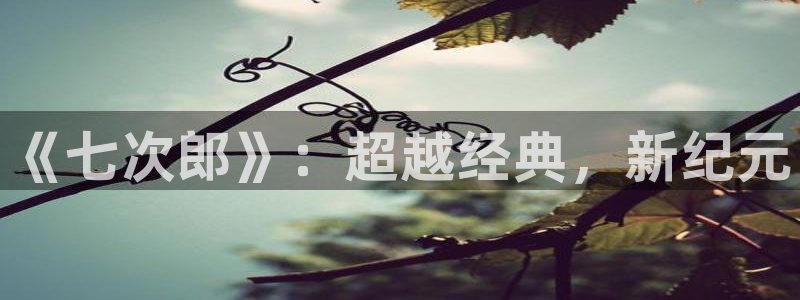 l藍莓視頻