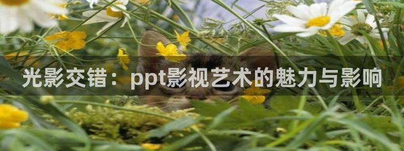 在線無(wú)限看免費(fèi)藍(lán)莓視頻